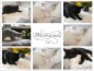 Preview: Unsere Lammfelle für Katzenbett Fensterfell