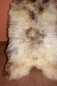 Preview: XXXL das besondere Schaffell Isländer Beige Coloure
