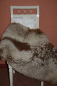 Preview: Gigant Schaffell Beige Colour Kurzhaar