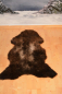 Preview: Lammfell Schaffell Tricolore Hundebett Spieldecke Ruheplatz