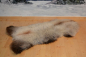 Preview: Öko Lammfell Model Yeti Multicolore Mehrfarbig