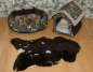 Preview: Tierbett Hundebett Öko Lammfell Mocca Dark getupft