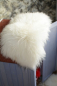 Preview: Lammfell Naturfell Weiß Katzenbett Fensterfell Kuschelfell