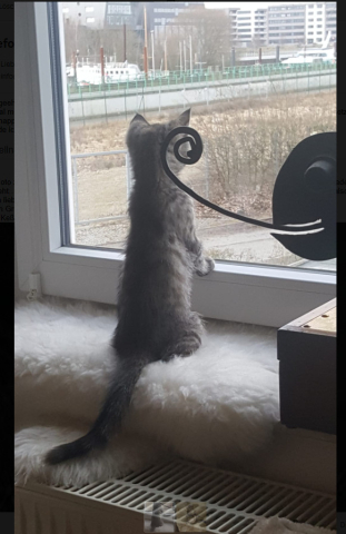 Shila ist jetzt bei uns eingezogen