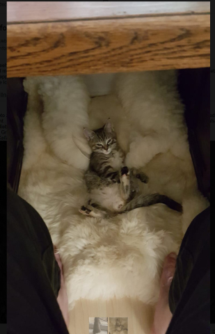 Shila ist jetzt bei uns eingezogen