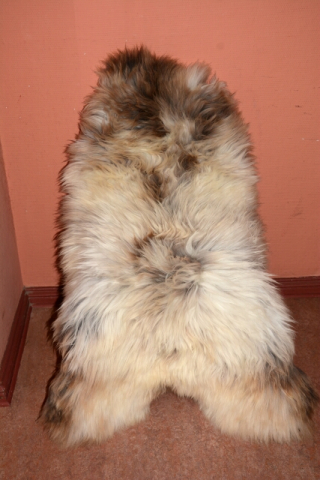 XXXL das besondere Schaffell Isländer Beige Coloure