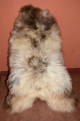 XXXL das besondere Schaffell Isländer Beige Coloure