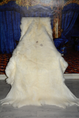Rentierfell Snow White Diamond 160cm XXXL Übergröße