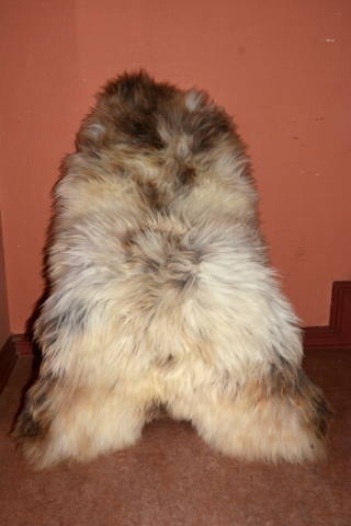 XXXL das besondere Schaffell Isländer Beige Coloure
