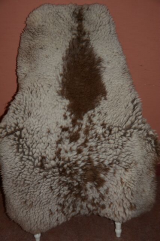 Gigant Schaffell Beige Colour Kurzhaar