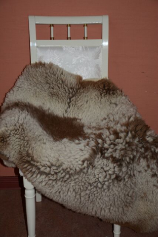 Gigant Schaffell Beige Colour Kurzhaar