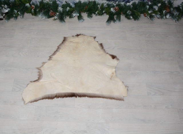 Dammhirsch Wildfell - Set 2 Teile ein Preis