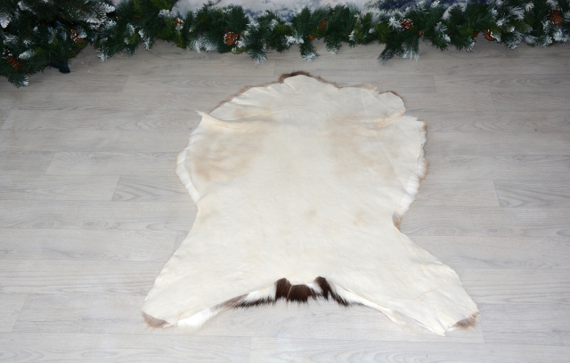 Dammhirsch Wildfell - Set 2 Teile ein Preis