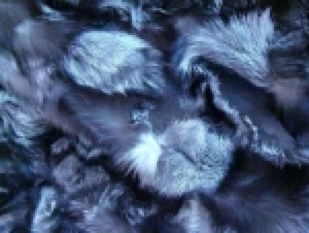 Traum Pelzdecke Arctik Fox Blue White Doppelwendedecke