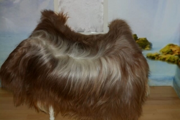 Edles Gigenta Ziegenfell Naturfell Langhaar 25cm Übergroß
