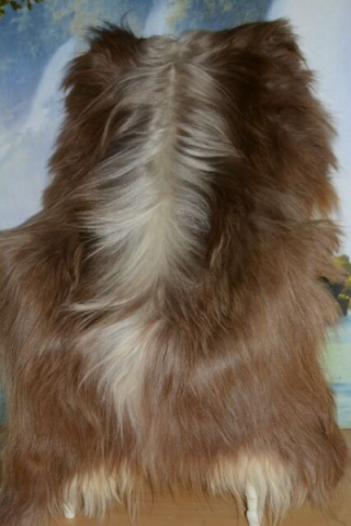 Edles Gigenta Ziegenfell Naturfell Langhaar 25cm Übergroß