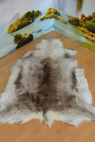 Rentierfell Dragon Gold 150 cm XXXL Übergröße
