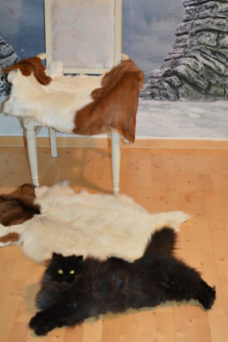 Edles Buren Fell Ziegenfell Katzenkorb Einlage Sitzkissen