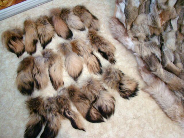 Pelzdecke Felldecke Red Fox Kanadischer Rotfuchs Echtfell