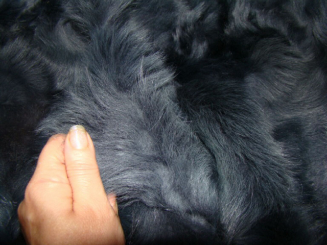 Echt Pelzdecke Silber Fuchs Silver Fox Echt Fell Fuchs