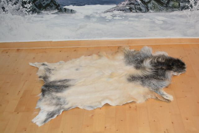 Edle Island Ziege Bockfell XXXL Übergröße 120 cm