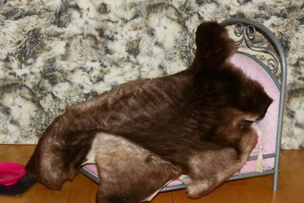Tierbett Hundebett Lammfell geflammt Kurzhaar