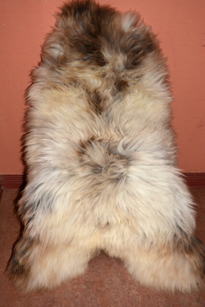 XXXL das besondere Schaffell Isländer Beige Coloure