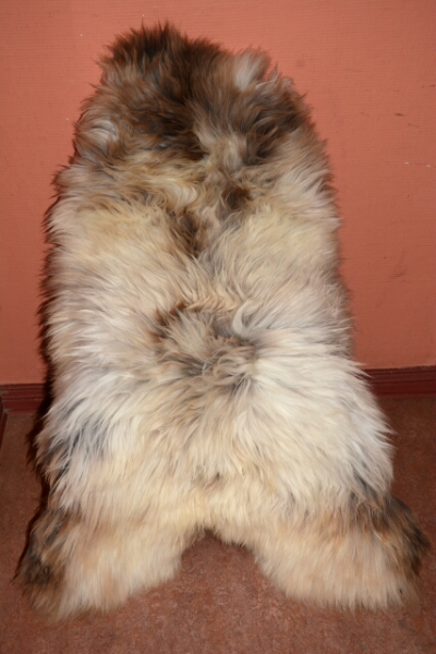XXXL das besondere Schaffell Isländer Beige Coloure