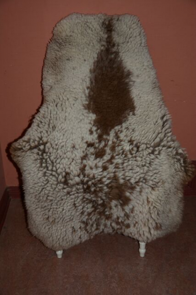 Gigant Schaffell Beige Colour Kurzhaar