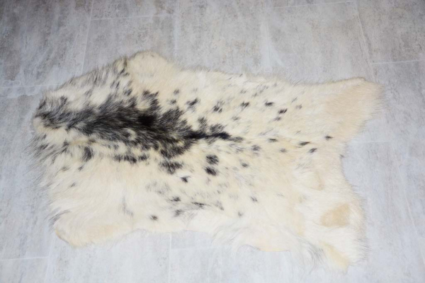 Kleine Feine Asiatische Zwergziege Schwarz Weiß Gescheckt
