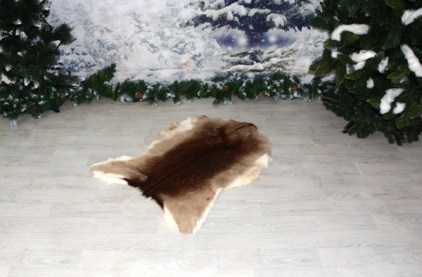 Dammhirsch Wildfell - Set 2 Teile ein Preis