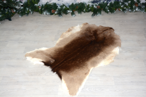 Dammhirsch Wildfell - Set 2 Teile ein Preis