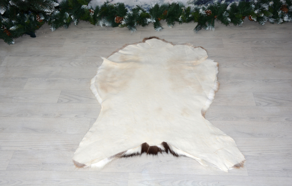 Dammhirsch Wildfell - Set 2 Teile ein Preis