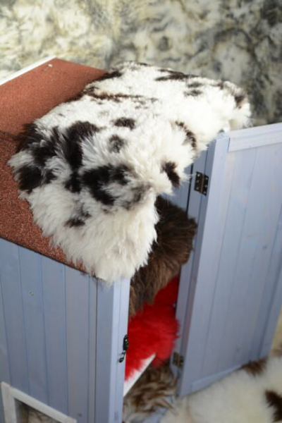 Lammfell Naturfell Black Withe Katzenbett Fenster Kuschelfell