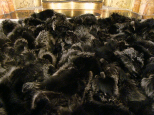 Pelzdecke Silver Fox Dark Silberfuchs Dunkel Echt Fuchsfell