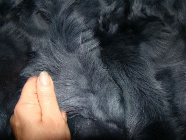 Echt Pelzdecke Silber Fuchs Silver Fox Echt Fell Fuchs