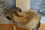 Lammfell Yeti Multicolore Großes Fell Kleiner Preis